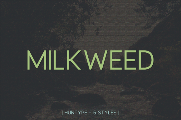 Milkweed: A Versatile Sans Serif